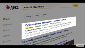 Как настроить рекламу в Яндекс.Директ