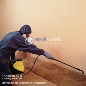 Дезинфекция от домашних клопов в квартире