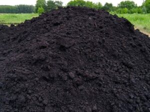 Почвогрунт или чернозём? Достоинства и недостатки