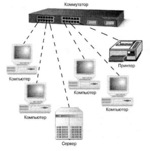 Сетевые коммутаторы: назначение и особенности выбора устройства