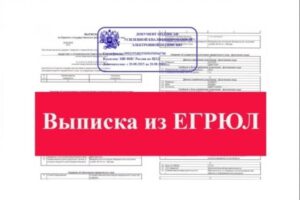 Виды выписок из ЕГРЮЛ