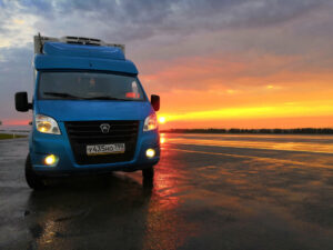 Выбор газели