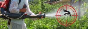 Уничтожение комаров на дачах и участках
