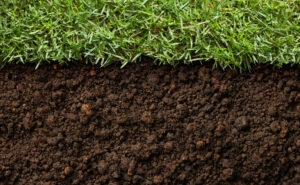 Какой нужен грунт для газона?