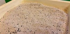 Как правильно выбрать наполнитель для кошачьего туалета?