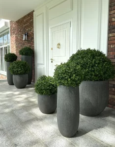 Как выбрать уличные кашпо?