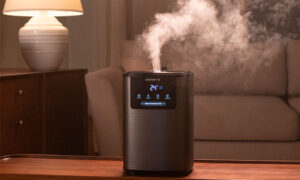 Обзор видов бытовых увлажнителей воздуха