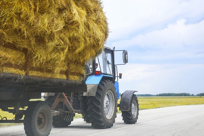 Авито Спецтехника: спрос на новые погрузчики увеличился на 116,7% за год