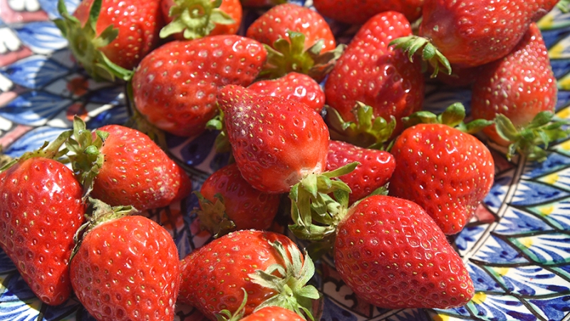 Диетолог рассказала о полезных свойствах клубники