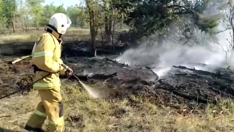 Лесной пожар в Ростовской области локализовали на площади 123,5 га
