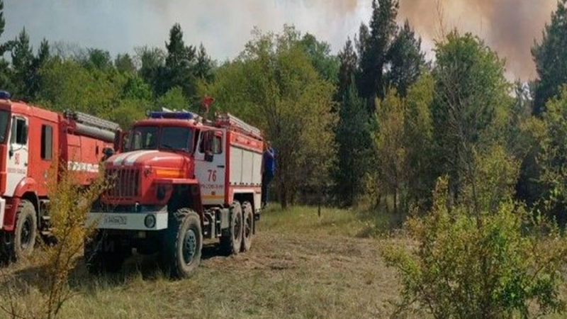 МЧС сообщило об увеличении площади лесного пожара в Ростовской области до 117 га