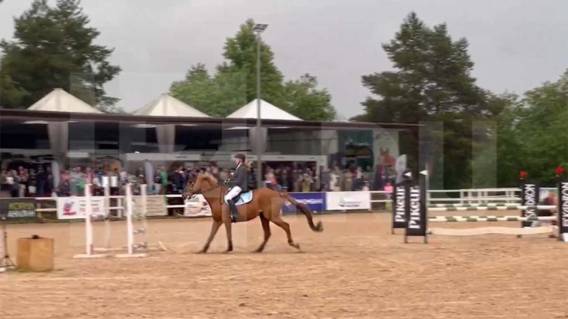 В Петербурге прошел Кубок ПМЭФ по конкуру