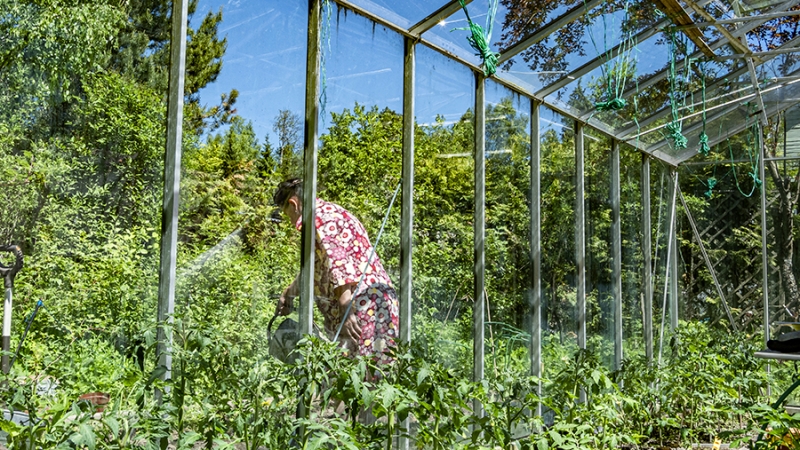 Врач рассказал об опасности некоторых сорняков и цветов на даче