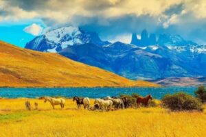 Чили: уникальная страна с разнообразными климатическими зонами и удивительными достопримечательностями