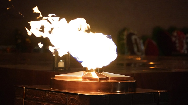 Бастрыкину представят доклад по делу жарившей сосиски на Вечном огне девушки