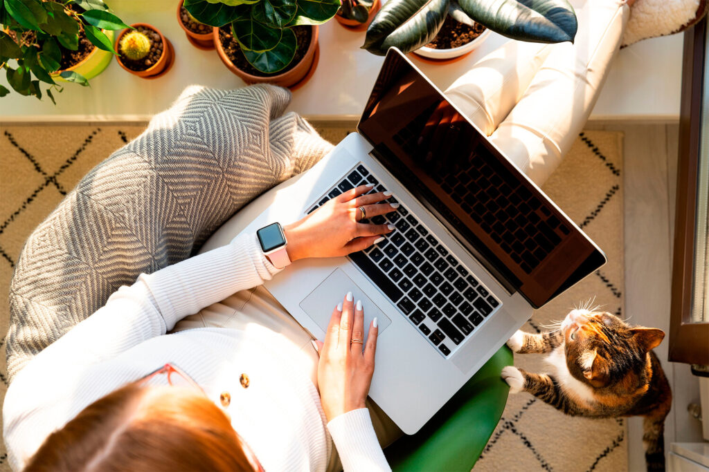 Какие услуги есть на фрилансе?