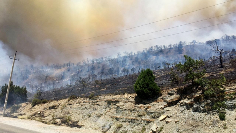 Мэр Новороссийска объявил режим ЧС из-за природных пожаров