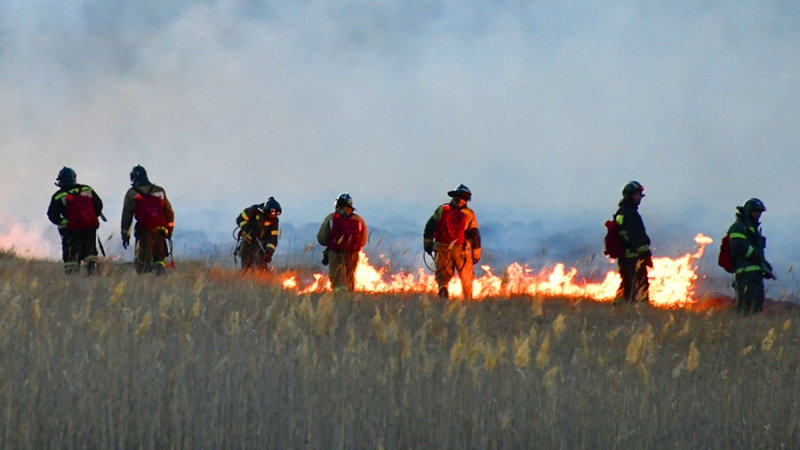 Опубликованы кадры с места тушения лесных пожаров в Забайкалье