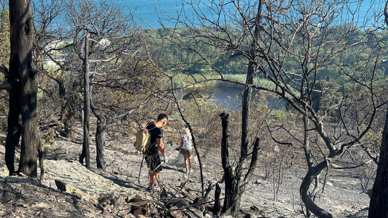 Площадь лесного пожара под Новороссийском увеличилась до 42 га