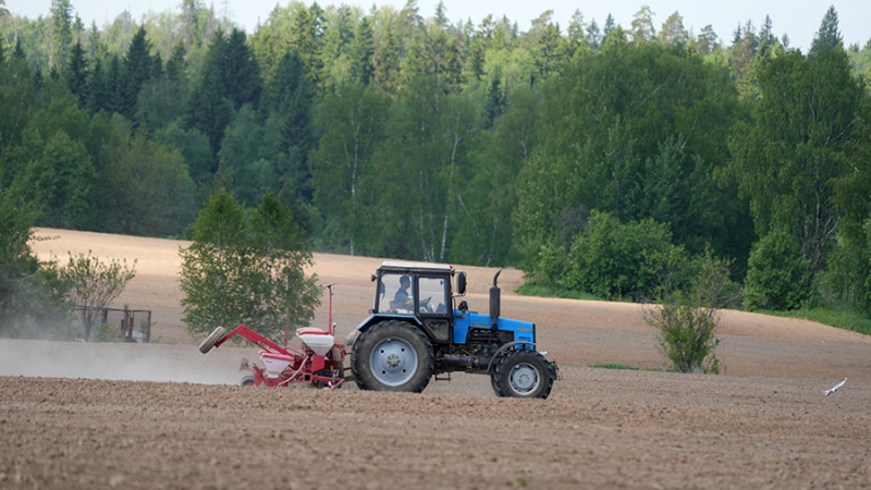 Минсельхоз заявил о гибели 1,1 млн га посевов из-за майских заморозков