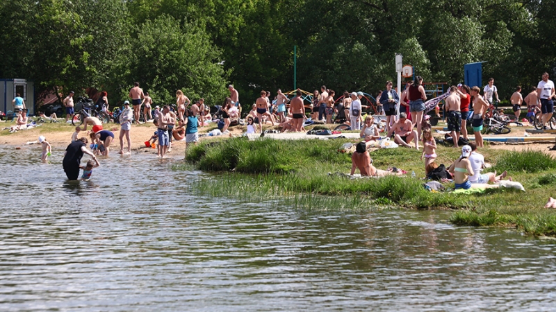 Роспотребнадзор разрешил купаться в зоне отдыха «Озеро Белое» в Москве