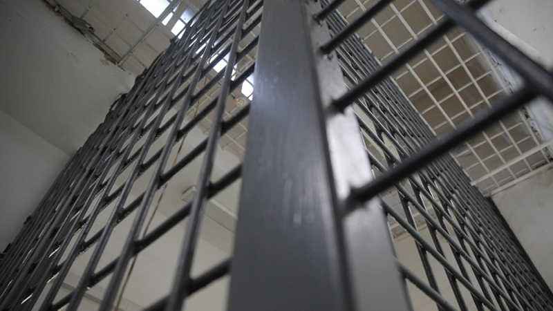 В Москве суд продлил арест двум обвиняемым по делу о торговле новорожденными