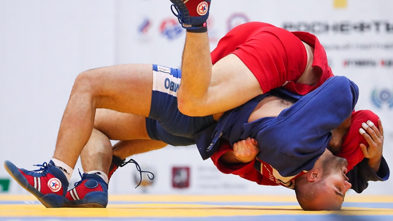 В России предложили создать целевую программу по продвижению самбо в мире