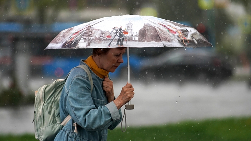 Вильфанд предупредил о сильных дождях минимум в четырех регионах РФ