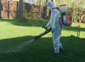 Профессиональная обработка участка от клещей: эффективное решение проблемы вредителей
