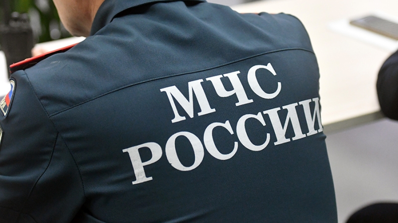 Сотрудники МЧС уничтожили 12 взрывоопасных предметов в Курской области