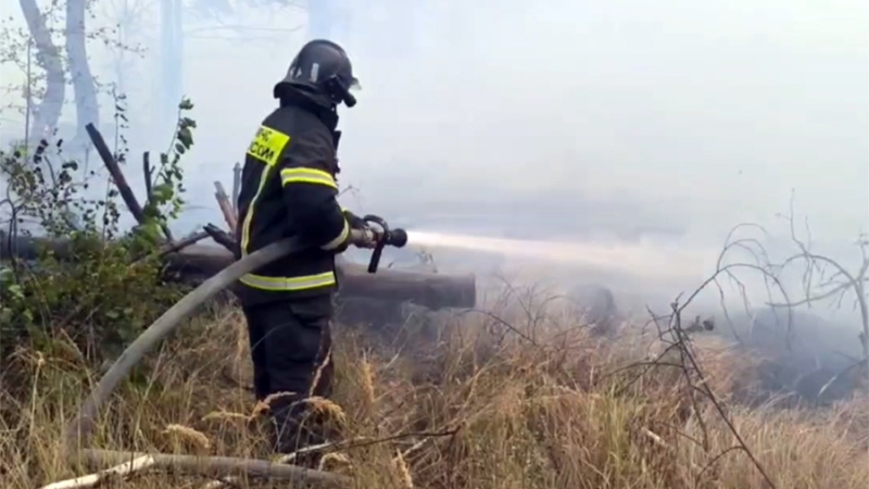 В Воронежской области локализовали пожар на площади 10 га