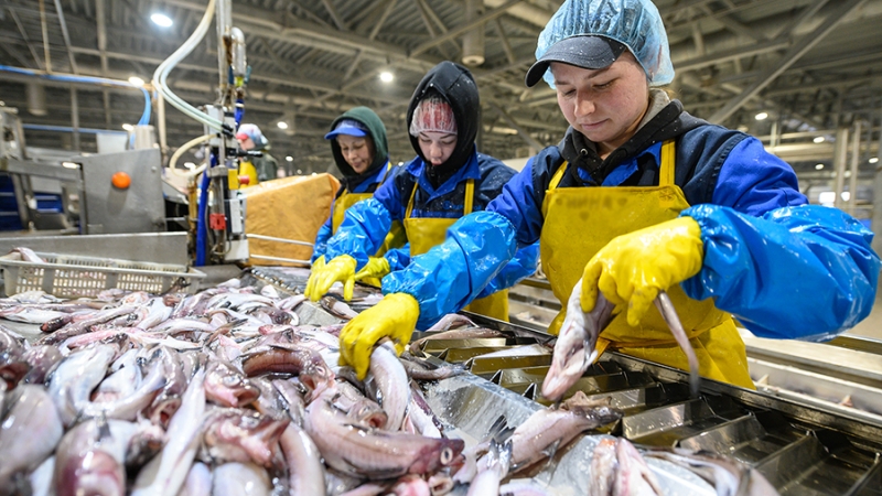 Глава АДМ Буглак рассказал о планах по трансформации имиджа минтая в РФ