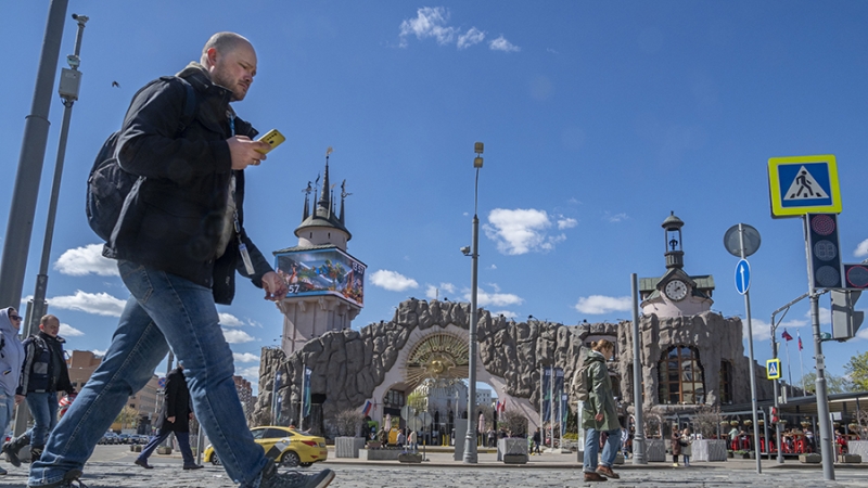 Московский зоопарк готов принять потерявшего маму медвежонка с Камчатки