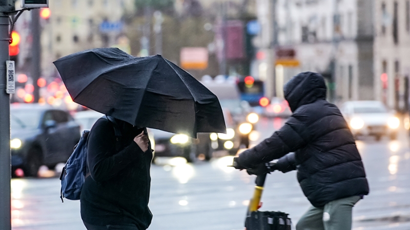 Синоптик исключила осадки в виде обычного снега до конца октября в Москве