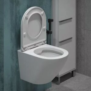 Безободковый подвесной унитаз: преимущества, принцип работы и особенности ухода