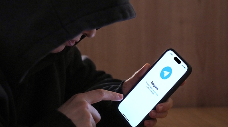 МВД предупредило о новом виде мошенничества под видом подарков «Telegram-премиум»