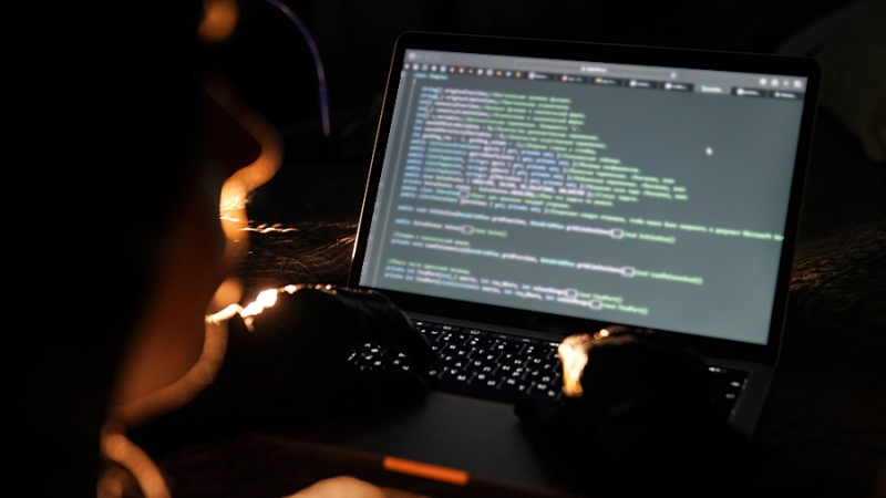 В Сбербанке назвали три самых популярных схемы мошенничества в 2024 году