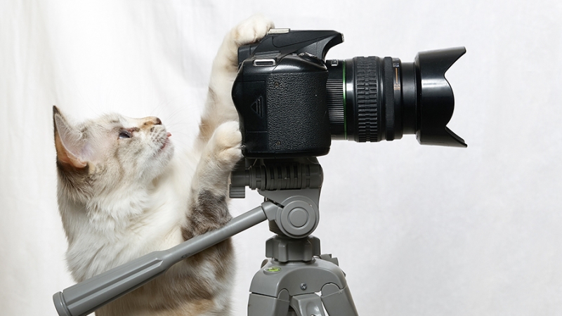 Более 30% россиян заявили о нехватке доброго контента