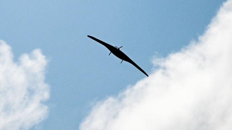 Глава Владимирской области сообщил о возгораниях после падения дронов ВСУ