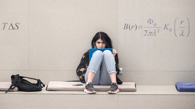 Общий объем бюджетных мест на 2025 учебный год в российских вузах составит 619,1 тыс.