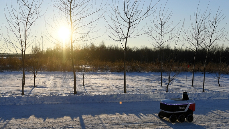 Около половины россиян верят в замещение курьеров роботами