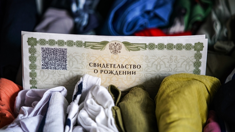 Аферисты по фальшивым свидетельствам о рождении получили выплаты в 59 регионах