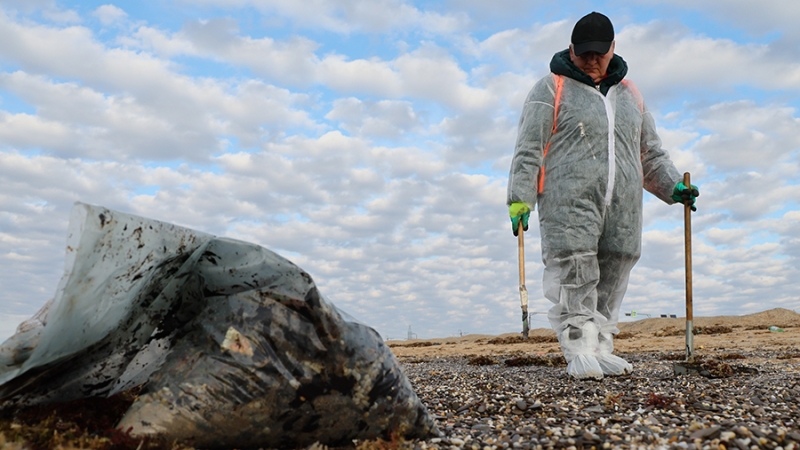 Мазут убрали почти с 14 км береговой линии в Крыму