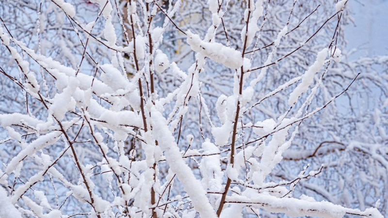 Названы подходящие для спокойного зимнего отдыха города