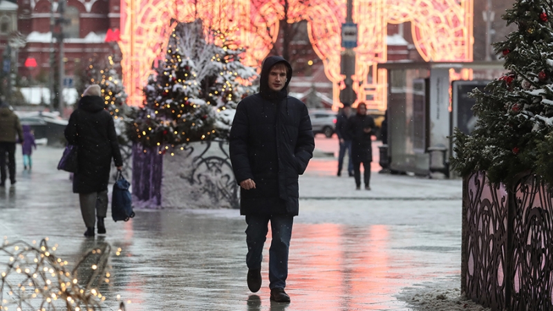 Синоптики спрогнозировали мокрый снег и до +4 градусов в Москве 2 января