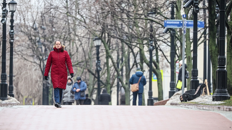 Синоптики спрогнозировали пасмурную погоду в Москве 25 и 26 января