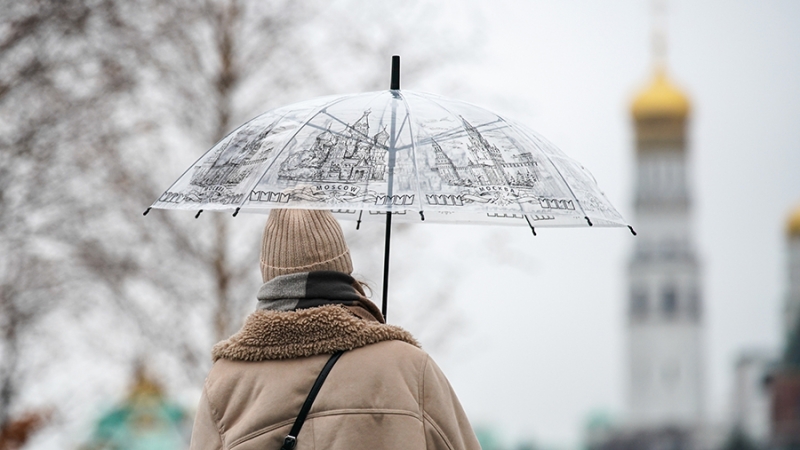 В Гидрометцентре спрогнозировали облачность и гололедицу в Москве 15 января