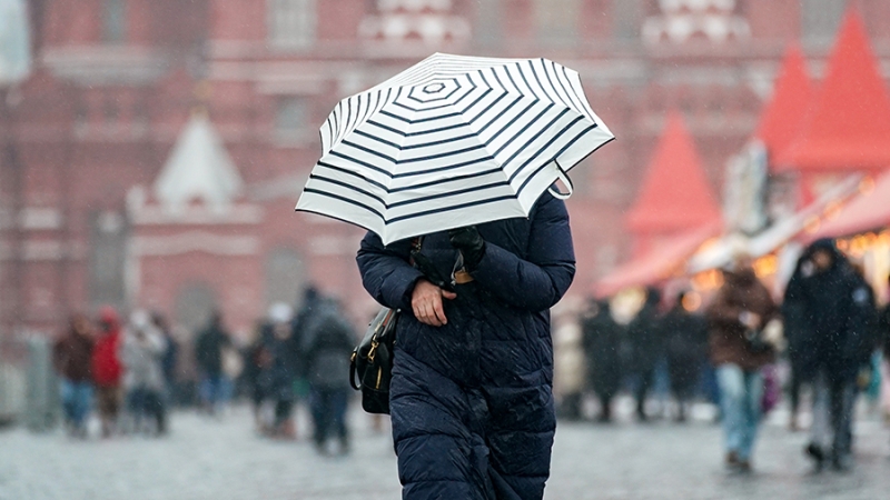 В Гидрометцентре спрогнозировали облачность и гололедицу в Москве 17 января