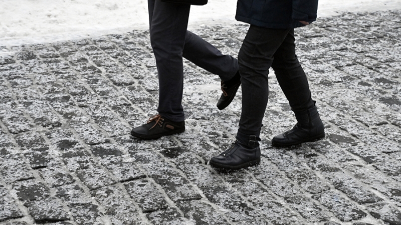 Вильфанд предупредил о гололедице в Москве в ближайшие дни