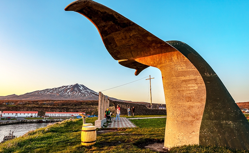 Пример Трампа — не всегда дурной: Курилы могут стать Русскими островами